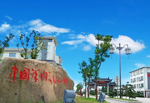 雙鳳羊肉爊雞爆香來襲 冬日美食的暖心盛宴