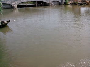 雙鳳生態園5月24日加魚圖片回顧